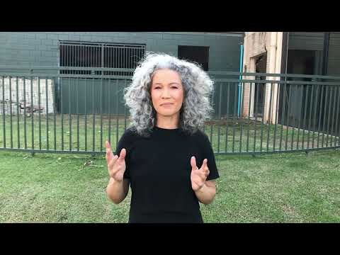 Vídeo Apresentação