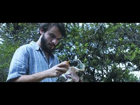 SHOWREEL