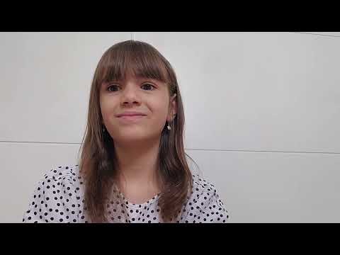 Video diálogo