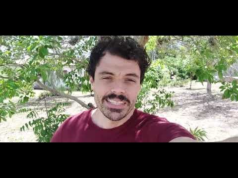 Apresentação