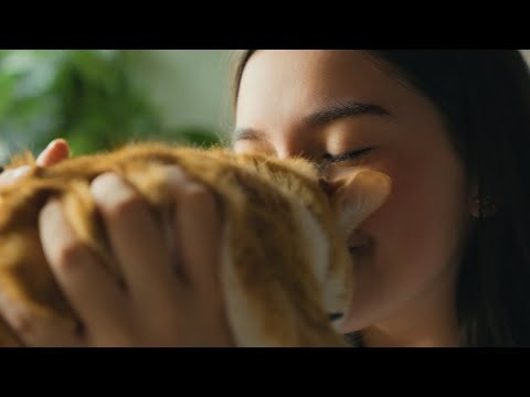 GEPETO - Curta-Metragem