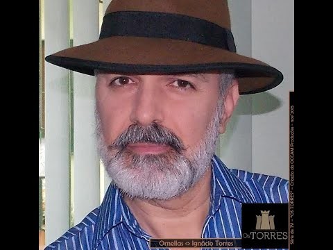 Web Série - OS TORRES