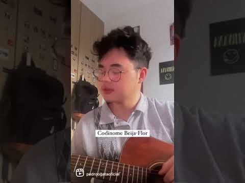 Codinome beija flor - cover