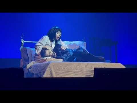 Luisa Vianna como Bibi Ferreira