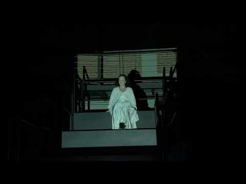 O Jardim das Cerejeiras - Tchekhov (monólogo)