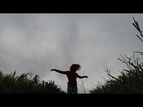 Vídeoperformance autoral