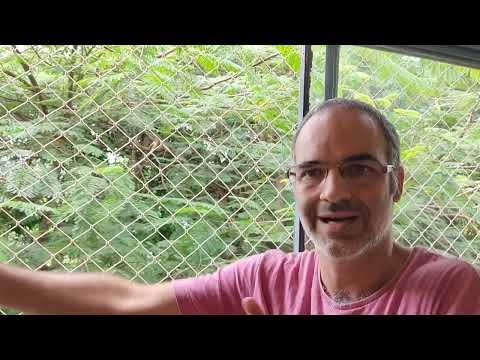 "Queda da Bastilha"