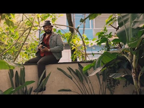 O Rei da TV - STAR+