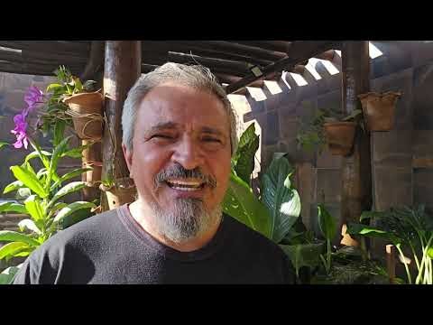 Apresentação de 5 minutos contando muita coisa