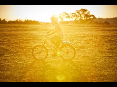 Ninho - Dia das Mães