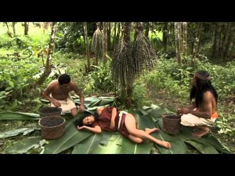 iaçá - The Legend of Açaí