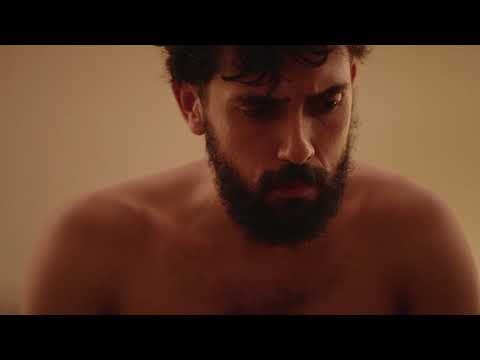 Sarrafo - Stroynoid