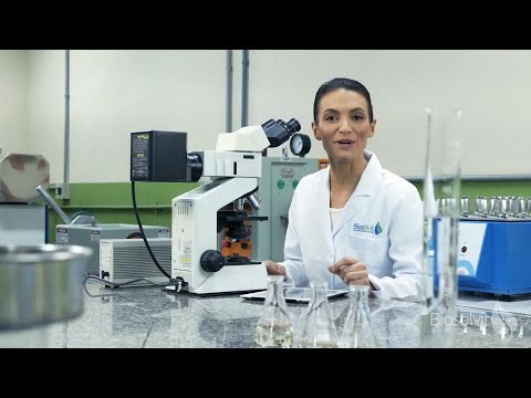 Apresentadora em português