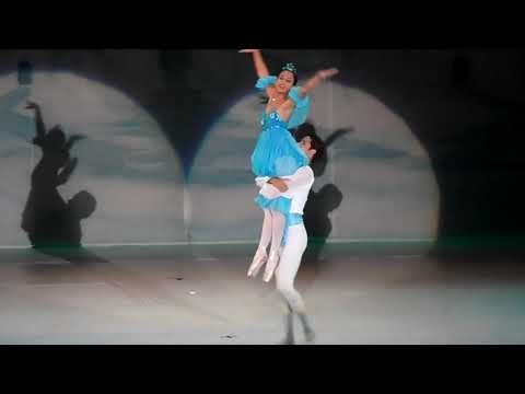 link solo Ballet Clásico