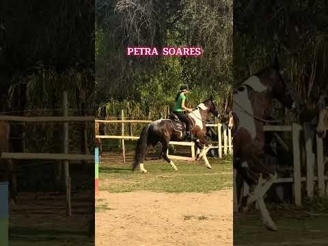 Equitação Petra Soares