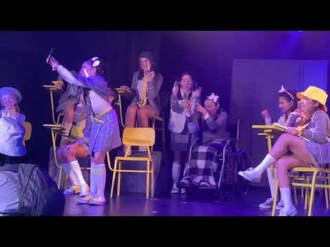 A Megera Domada- O Musical. Direção: Fernanda Chamma.
