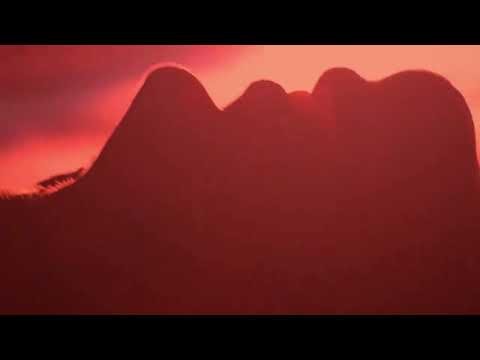 Sorvete de Morango - Teaser