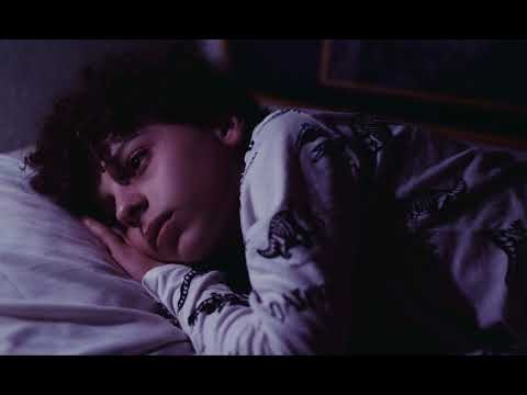 Where The insects hide at night - cena 2