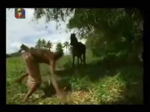 Equadro, TVI Portugal