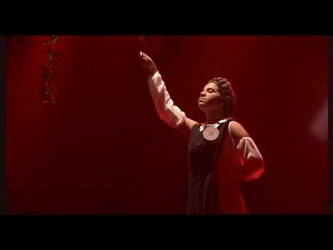 A primeira vez que eu vi o fuhrer