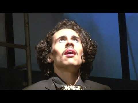 Dr Portela e Seu Noronha - 7 Gatinhos