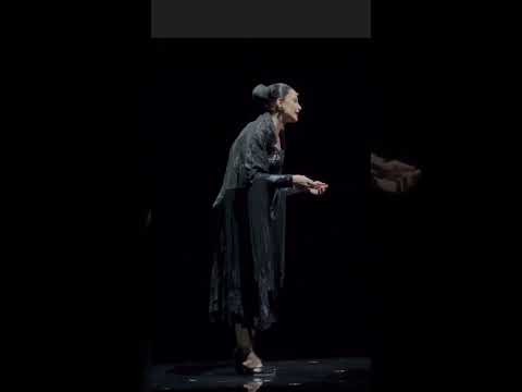 TARSILA DO AMARAL NO TEATRO - trecho final