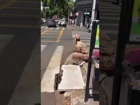 Ação de dia das Crianças