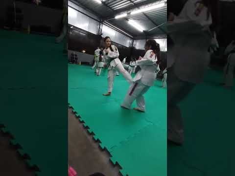 Taekwondo